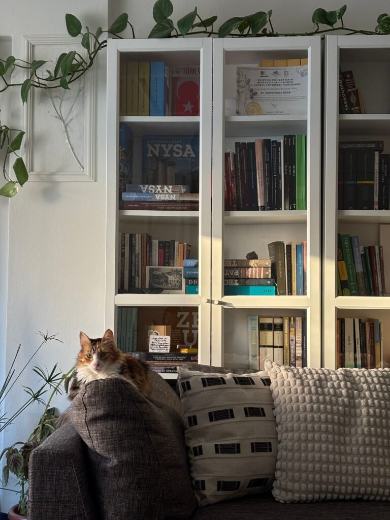 Bookshelf Decorating Mistakes Designers Always Spot (and How to Fix Them Fast)